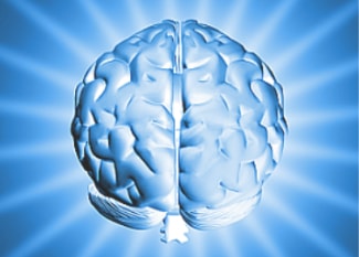 Picture of brain to show brainwave entrainment
